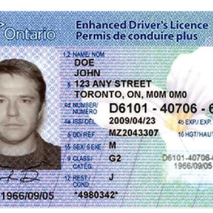 Buy Canada Driving License